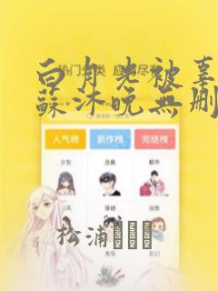 白月光被辜负后苏沐晚无删减完整版