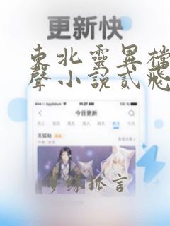 东北灵异档案有声小说贰飞免费