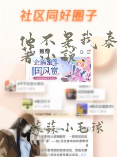 他不是我泰剧原著小说