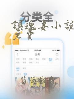 镇魂妻小说完整免费