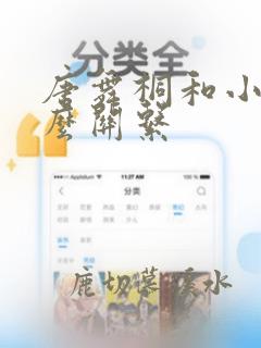 唐舞桐和小舞什么关系