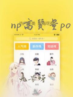 np高质量po