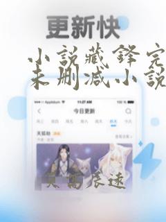 小说藏锋完整版未删减小说