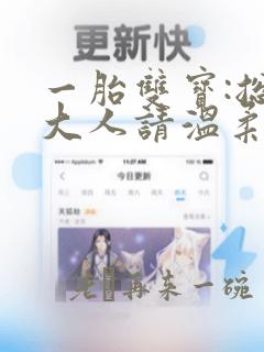 一胎双宝:总裁大人请温柔小说