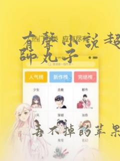 有声小说超品相师丸子