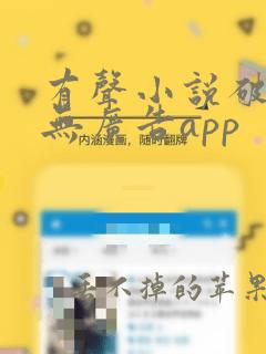 有声小说破解版无广告app