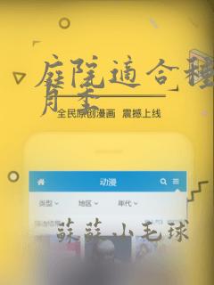 庭院适合种什么月季