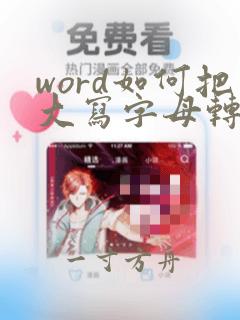 word如何把大写字母转换为小写字母