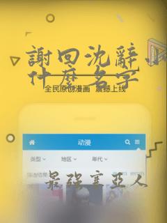 谢回沈辞小说叫什么名字