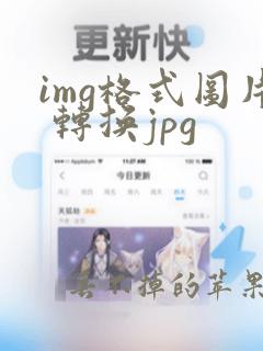 img格式图片 转换jpg