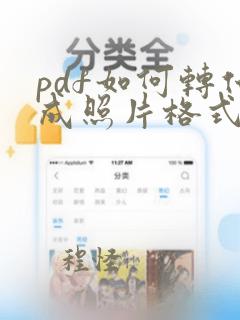 pdf如何转化成照片格式