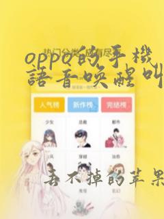 oppo的手机语音唤醒叫什么