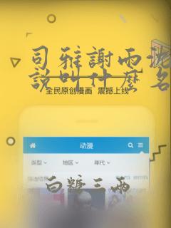 司雅谢雨沈严小说叫什么名字