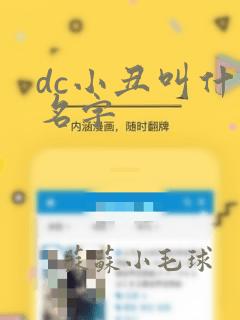 dc小丑叫什么名字