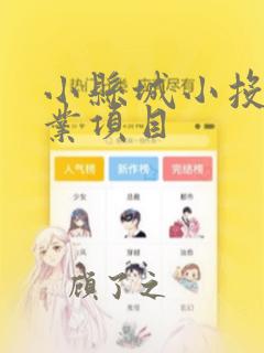 小县城小投资创业项目