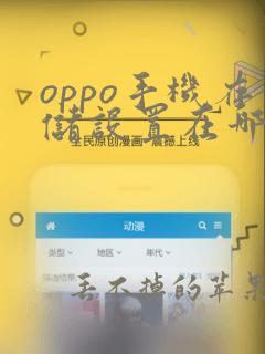 oppo手机存储设置在哪里打开