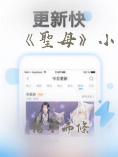 《圣母》小说