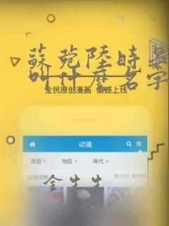 苏菀陆时晏小说叫什么名字