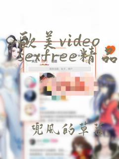 欧美videosexfree精品