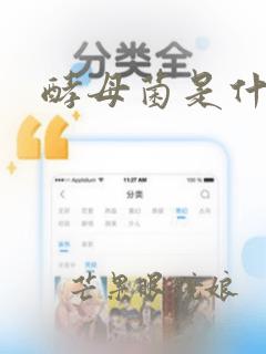 酵母菌是什么菌