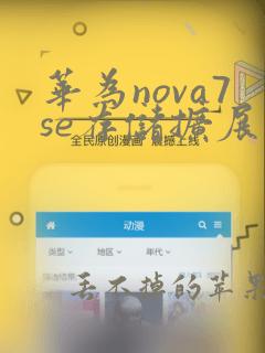 华为nova7se存储扩展用什么卡