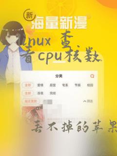 linux 查看cpu核数