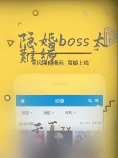 隐婚boss太难缠