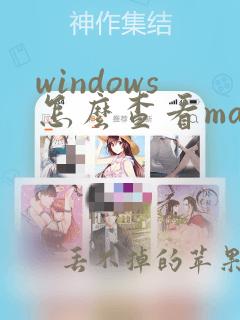 windows怎么查看mac地址