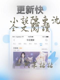 小说陈东沈幼宁全文阅读