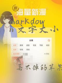 markdown 文字大小