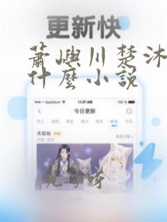 萧屿川楚沐妍是什么小说