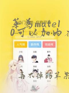 华为mate10可以加内存卡吗