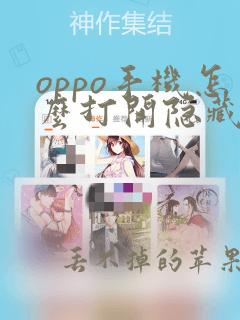 oppo手机怎么打开隐藏软件