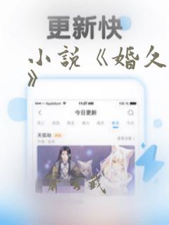 小说《婚久必合》