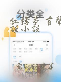 红楼梦 有声小说小说