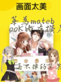 华为matebook内存扩展到32g