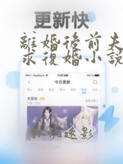 离婚后前夫哭着求复婚小说txt下载