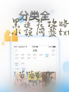 黑莲花攻略手册小说网盘txt