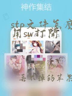 stp文件怎么用sw打开