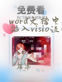 word文档中插入visio流程图