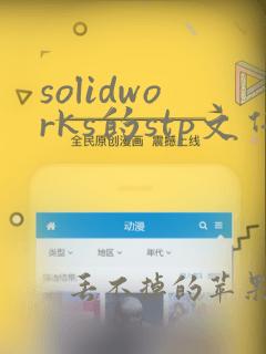 solidworks的stp文件