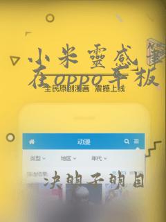 小米灵感笔2能在oppo平板上用吗