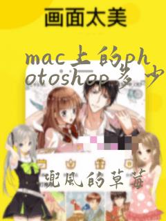 mac上的photoshop多少钱