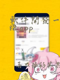 软件开发一个手机app