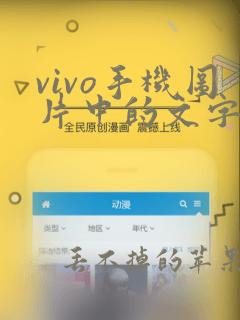 vivo手机图片中的文字如何提取出来