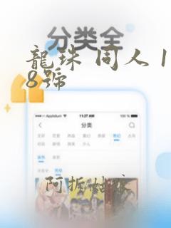 龙珠 同人 18号