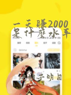 一天赚2000是什么水平