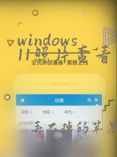 windows11照片查看器