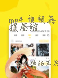 mp4 视频无损压缩