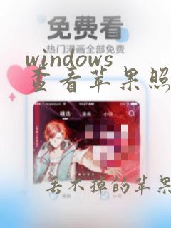 windows查看苹果照片软件